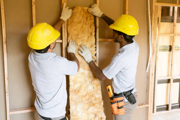 Insulation Replacement Services in Grant Park, IL